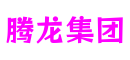 四川省绵阳市腾龙集团游戏系统有限公司